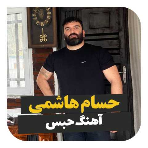 حسام هاشمی  حبس 