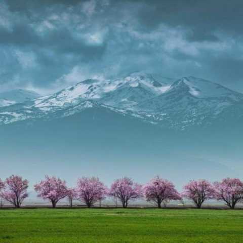 حمیرا و جهان (ورژن هوش مصنوعی) عید 