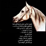 دانلود ریمیکس ای که به شب هام صبح سپیدی صدای زن