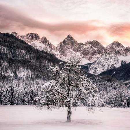 آدم چه فکرا میکنه حمیرا هوش مصنوعی 