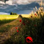 دانلود آهنگ ای بهانه زنده موندنم مهستی هوش مصنوعی