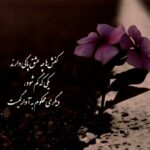 دانلود آهنگ هایده ( ورژن هوش مصنوعی ) به نام عشق تو خوابی بود و بس