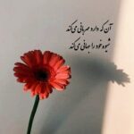 دانلود آهنگ هایده ( ورژن هوش مصنوعی ) به نام تو مکه عشقی و من