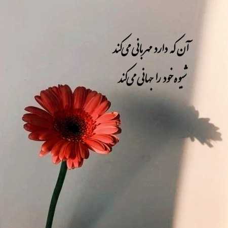هایده ( ورژن هوش مصنوعی ) تو مکه عشقی و من