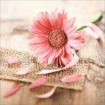 دانلود آهنگ هلن ( ورژن هوش مصنوعی ) به نام دلواپست میشم