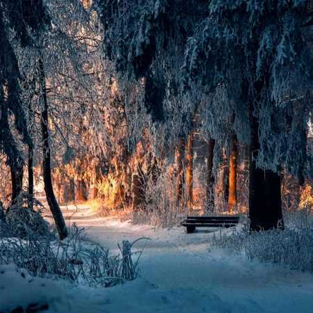 لیلا فروهر ( ورژن هوش مصنوعی ) این دل بی قراره