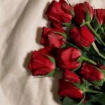 دانلود آهنگ مهستی ( ورژن هوش مصنوعی ) به نام اخه دست تو دیگه قلق دل وامونده