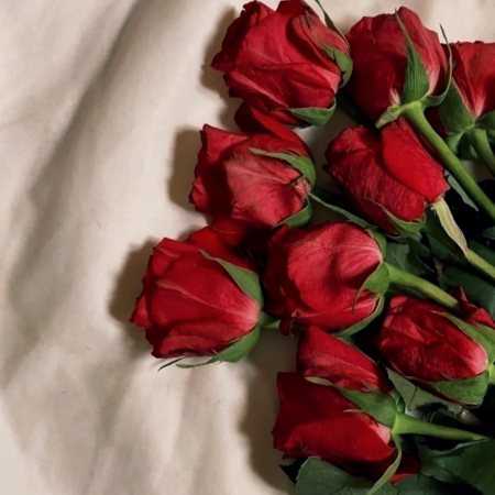 مهستی ( ورژن هوش مصنوعی ) اخه دست تو دیگه قلق دل وامونده