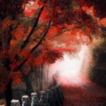 دانلود آهنگ مهستی ( ورژن هوش مصنوعی ) به نام چشات دیونم کرده
