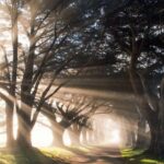 دانلود آهنگ روی دیوارای سلول تنم هوش مصنوعی