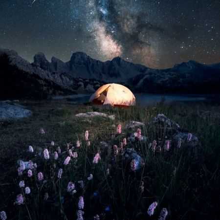 هایده ( ورژن هوش مصنوعی ) امشب تو میایی و من بیدارم عشقم