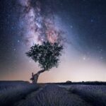 دانلود آهنگ هایده ( ورژن هوش مصنوعی ) به نام یه روز میای اسم من کناره اسمت میزنی