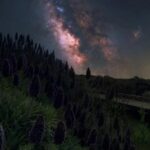 دانلود آهنگ مهستی ( ورژن هوش مصنوعی ) به نام میخوام برم که تا ابد بمونم