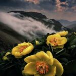 دانلود آهنگ مرجان ( ورژن هوش مصنوعی ) به نام من همینم
