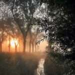 دانلود آهنگ مهستی ( ورژن هوش مصنوعی ) به نام نمیبینی مگر دلم گرفته