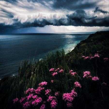 دورم می کنی مجبورم میکنی هوش مصنوعی 