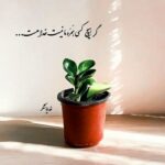 دانلود ریمیکس هایده و مهستی ( ورژن هوش مصنوعی ) به نام میدونی چند وقته دلم تورو میخواد