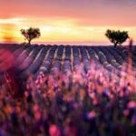 دانلود آهنگ مهستی ( ورژن هوش مصنوعی ) به نام اهای دارو ندار من
