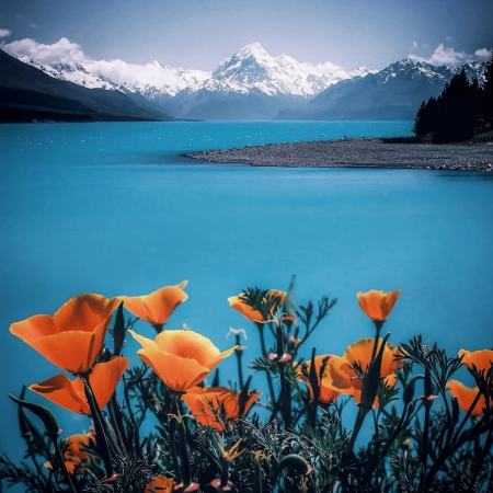 مهستی ( ورژن هوش مصنوعی ) دلت مال دلم شد