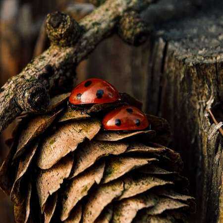 مهستی ( ورژن هوش مصنوعی ) میدونی من دوست دارم قلبی