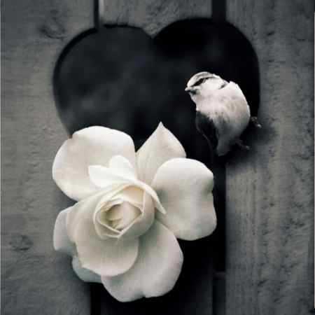 صدام که می‌کنی جانم میشنوی هوش مصنوعی 