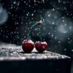 دانلود آهنگ شکیلا ( ورژن هوش مصنوعی ) به نام هی میخام صدات کنوم