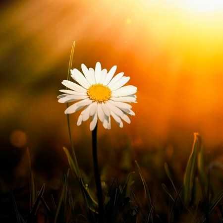 دلم بوی تورو میخواد هوش مصنوعی 