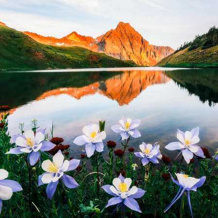 دوست دارم جمله ای شیرینه هوش مصنوعی 