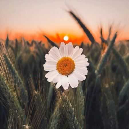 الهه ( ورژن هوش مصنوعی ) من با تو قهرم