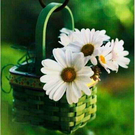 اﺗﻔﺎﻗﻰ ﺑﻌﺪ ﭼﻨﺪ ﺳﺎل دﻳﺪﻣﺖ هوش مصنوعی 