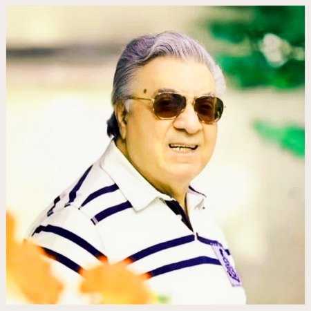 گلپا ( ورژن هوش مصنوعی ) تو رفتی و دلم غمگین شد