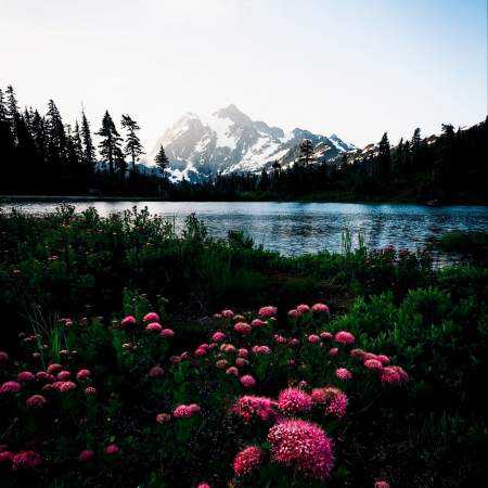 گوگوش ( ورژن هوش مصنوعی ) این احساسِ زیبا هست