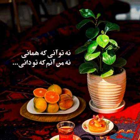 گوگوش ( ورژن هوش مصنوعی ) خنجر از پشت می‌زنه