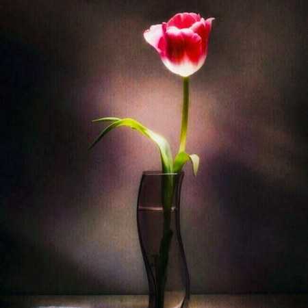 گوگوش ( ورژن هوش مصنوعی ) مینشیند در کنارت