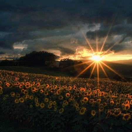 هایده و مهستی و شهلا ( ورژن هوش مصنوعی ) خال هندو