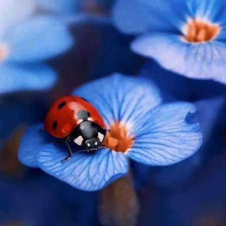 هایده ( ورژن هوش مصنوعی ) برایت لاله ها را در سبد کردم