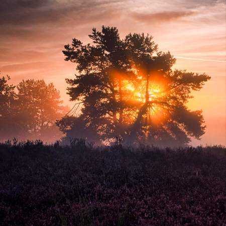 هایده ( ورژن هوش مصنوعی ) به یادش باده می نوشم