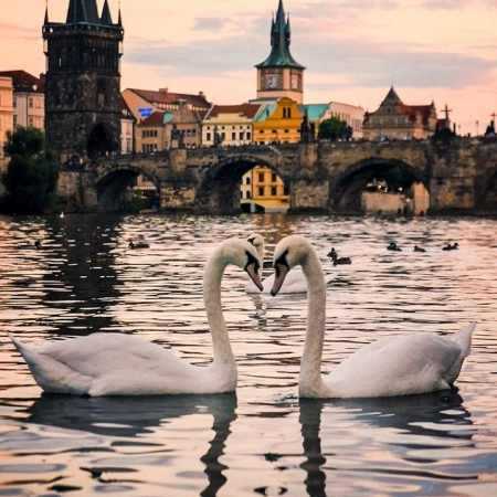 هایده ( ورژن هوش مصنوعی ) بگو کی وسطش جازد