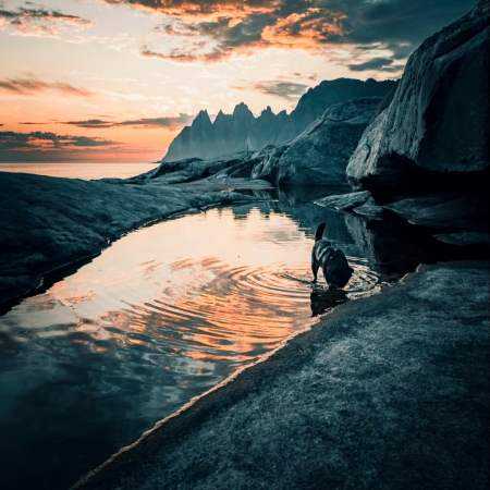 هایده ( ورژن هوش مصنوعی ) چرا سیگار میکشی