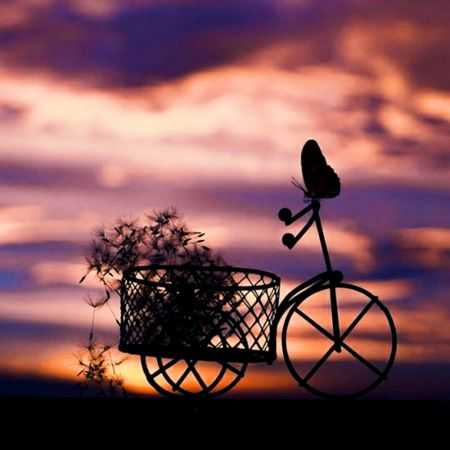 هایده ( ورژن هوش مصنوعی ) دل به دریاها بزن