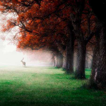 هایده ( ورژن هوش مصنوعی ) دل رو گول زدن