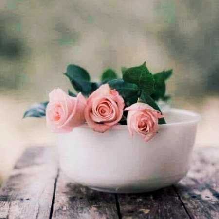 هایده ( ورژن هوش مصنوعی ) فقط برو