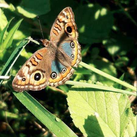 هایده ( ورژن هوش مصنوعی ) کمی مرا نگاه کن