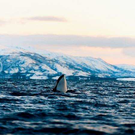 هایده ( ورژن هوش مصنوعی ) کجا گریه هامو ببارم که دریا نداره