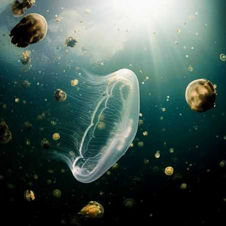 هایده ( ورژن هوش مصنوعی ) میشکنه طلسم غم