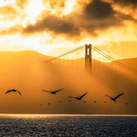 هایده ( ورژن هوش مصنوعی ) نفس