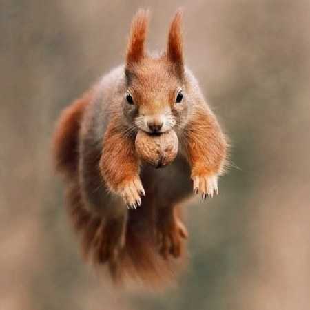 هایده ( ورژن هوش مصنوعی ) ﻧﻴﺖ ﻣﻦ ﻋﺸﻖ ﺗﻮ