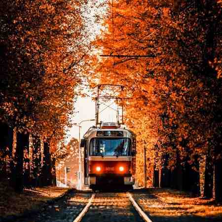 هایده ( ورژن هوش مصنوعی ) تو یه تیکه قلب منی نمیشه ازم دل بکنی