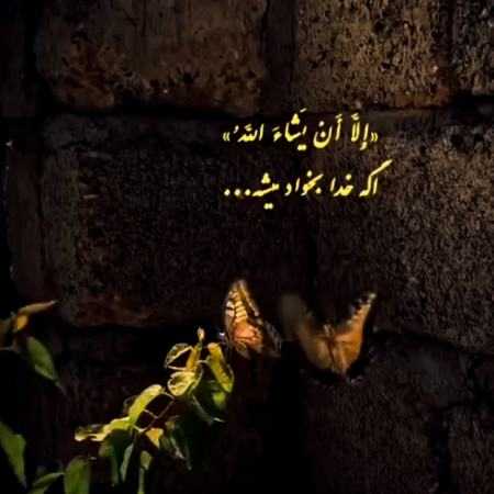 هایده ( ورژن هوش مصنوعی ) یادت رفت همه قولاتو 