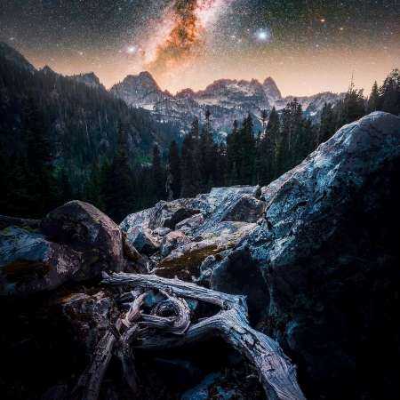 لیلا فروهر ( ورژن هوش مصنوعی ) چشم انتظاری منو کشت